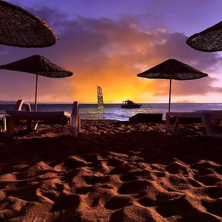 Готель Cicek Evler Tatil Koeyue Armutlu Екстер'єр фото